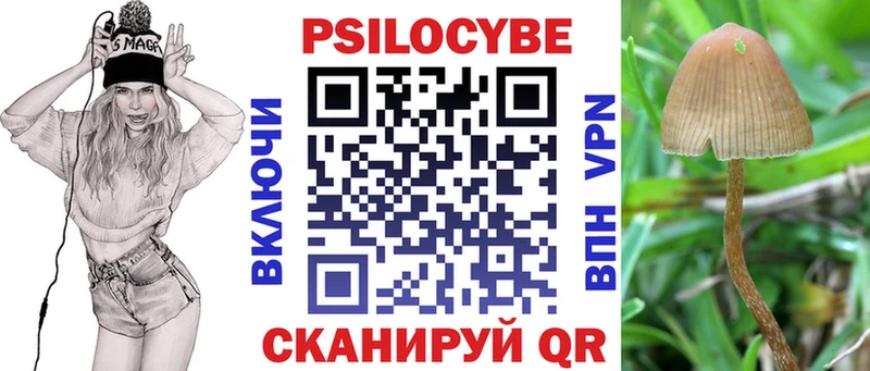 купить Приволжск Галлюциногенные грибы ЛСД