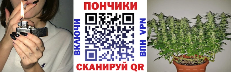 как найти   Приволжск  Бошки Шишки SATIVA & INDICA 